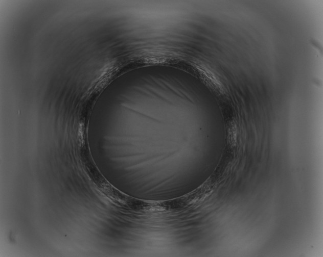 X0000091890598200709191219