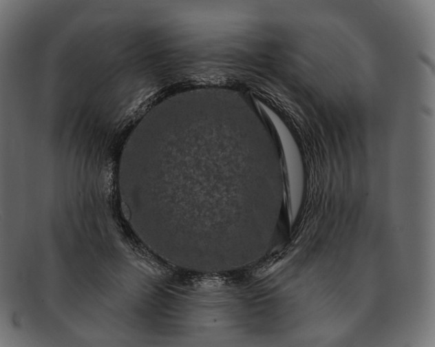 X0000091890600200709191219