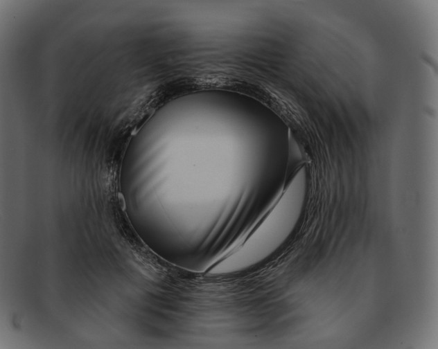 X0000091890601200709191219