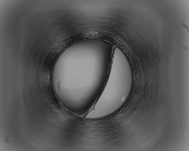 X0000091890602200709191219