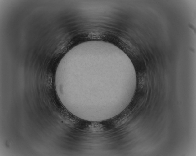 X0000091890603200709191219