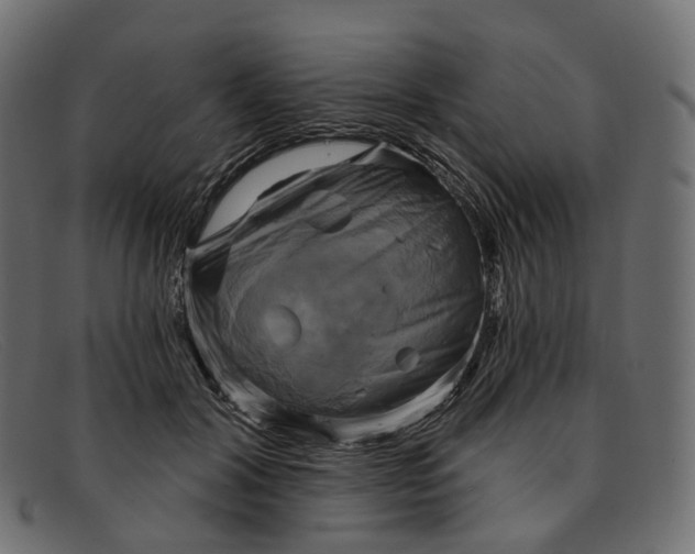 X0000091890604200709191219