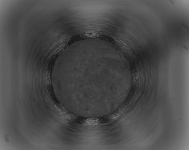 X0000091890606200709191219