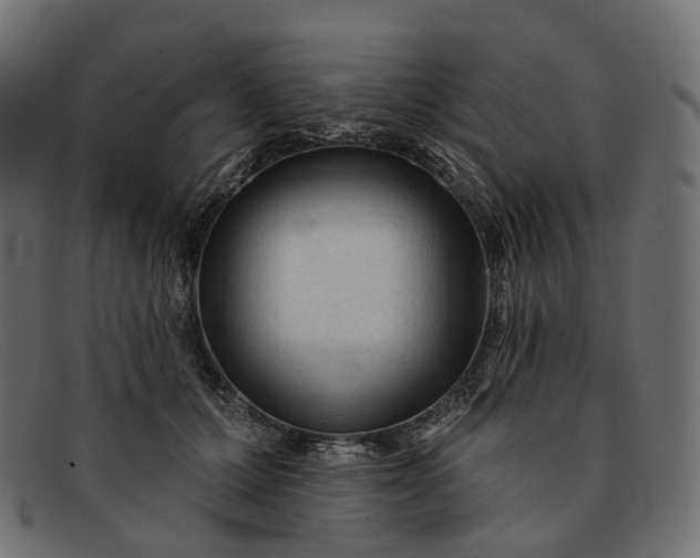 X0000091890607200709191219