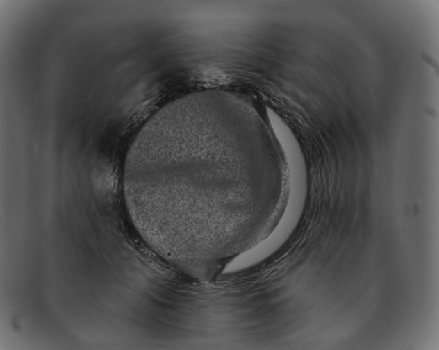 X0000091890608200709191219