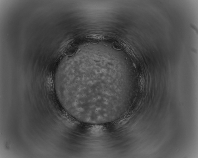 X0000091890609200709191219