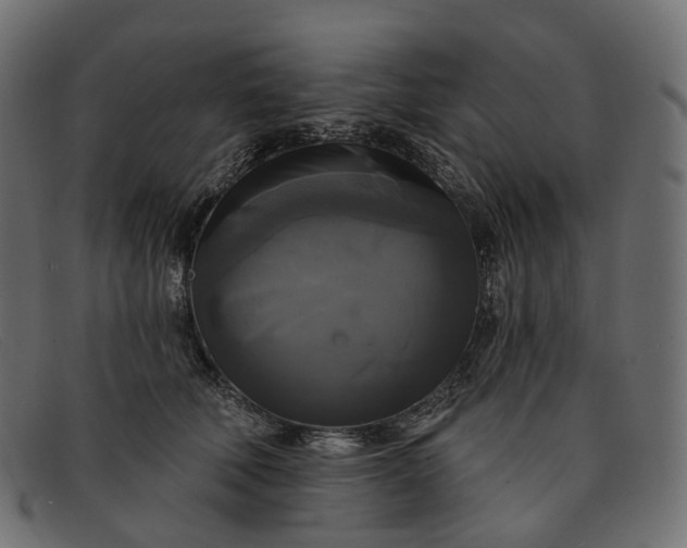 X0000091890610200709191219