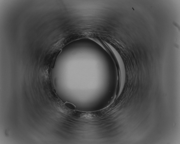 X0000091890611200709191219