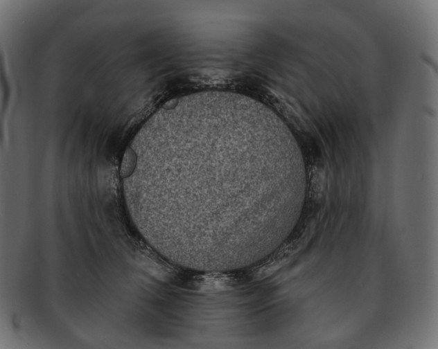 X0000091890612200709191219