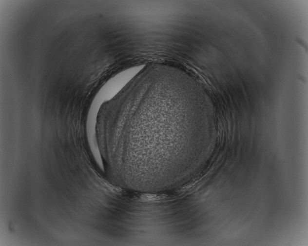 X0000091890613200709191219