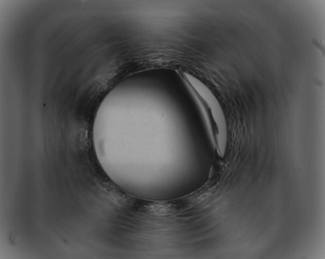 X0000091890615200709191219