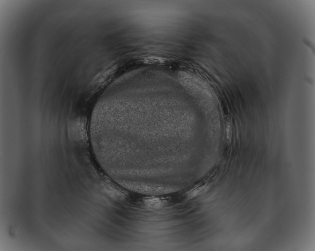 X0000091890616200709191219