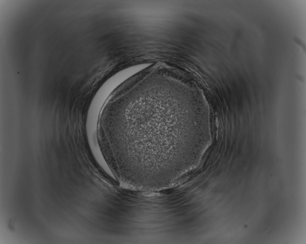 X0000091890617200709191219