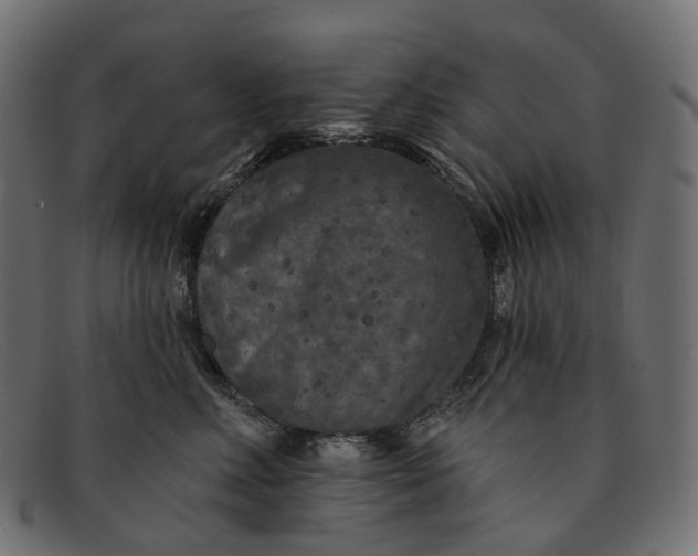 X0000091890618200709191219