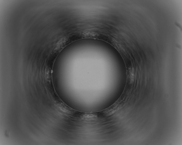 X0000091890619200709191219