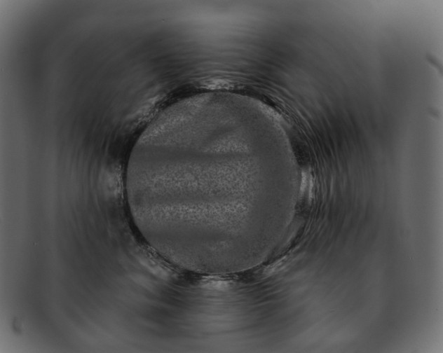 X0000091890620200709191219