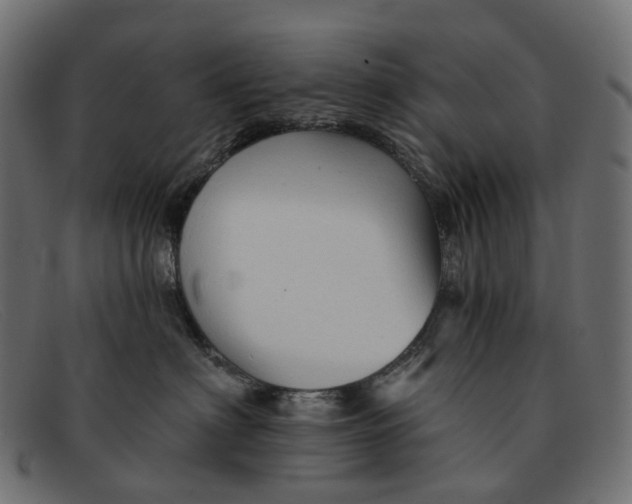 X0000091890622200709191219