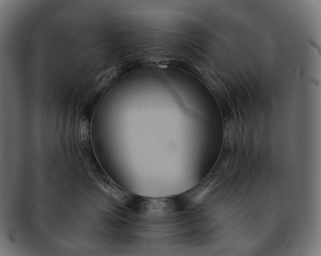 X0000091890623200709191219