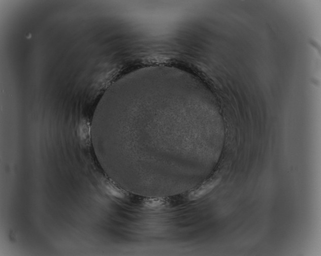 X0000091890624200709191219