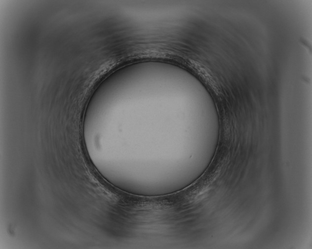 X0000091890625200709191218