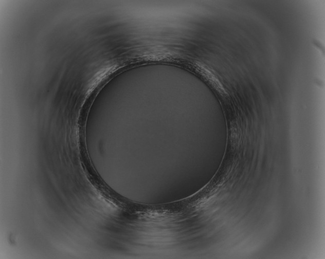 X0000091890626200709191218