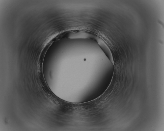 X0000091890628200709191218