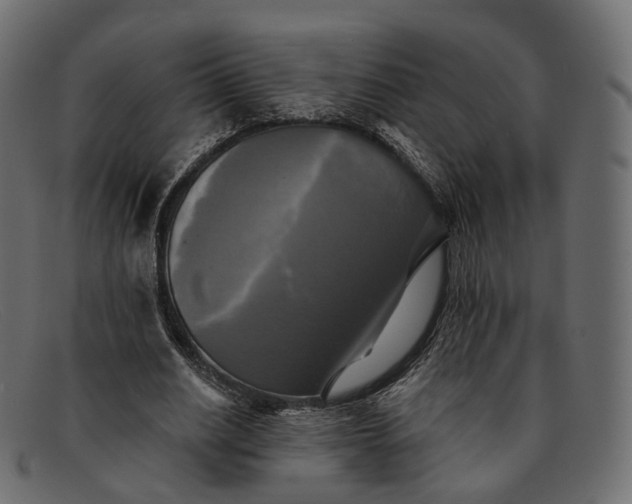 X0000091890630200709191218