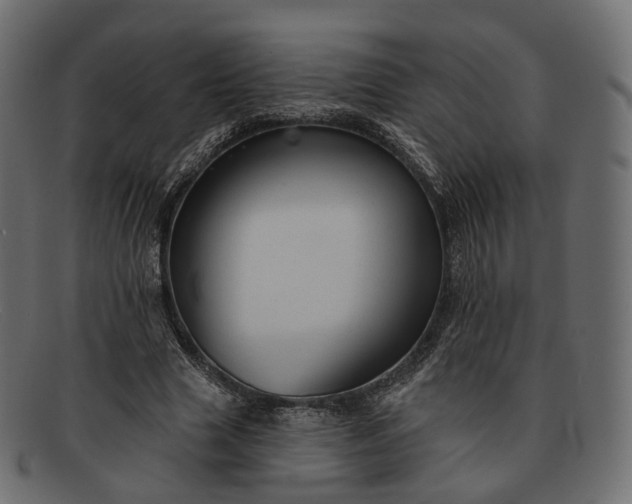 X0000091890633200709191218