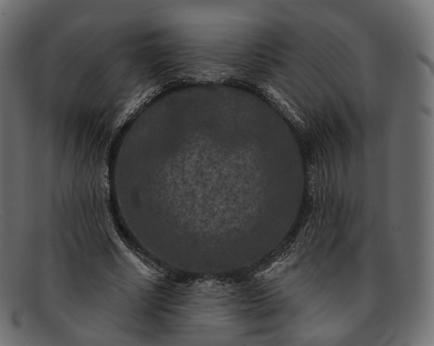 X0000091890634200709191218