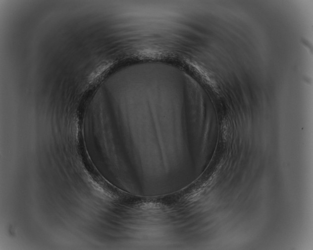 X0000091890637200709191218