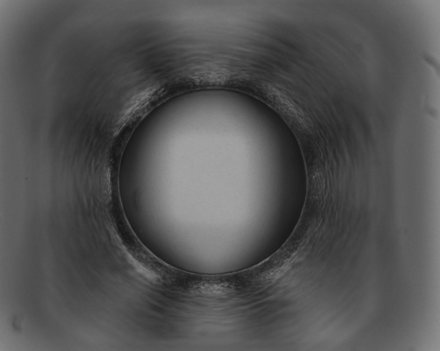 X0000091890638200709191218