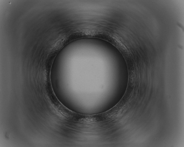 X0000091890639200709191218