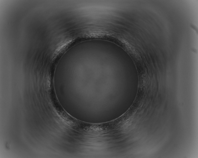 X0000091890640200709191218