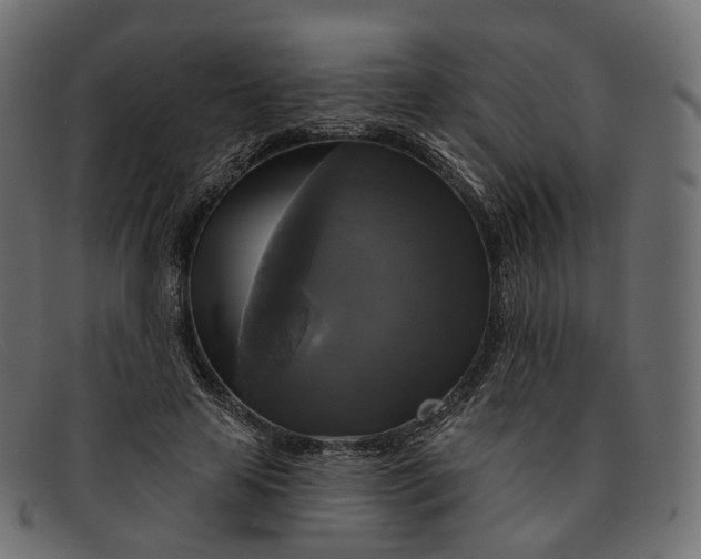 X0000091890641200709191218