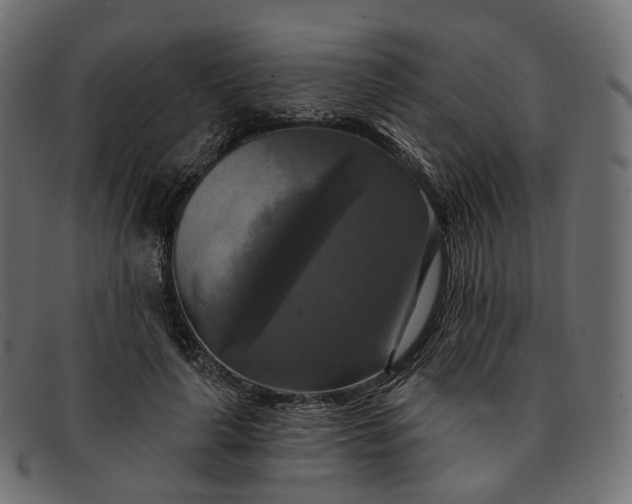 X0000091890643200709191218