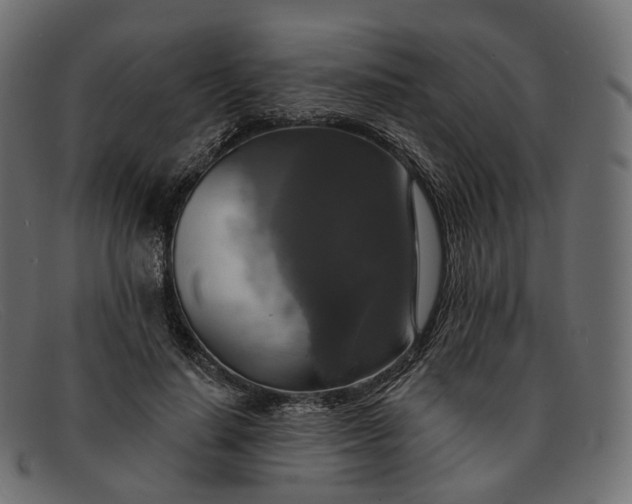 X0000091890644200709191218