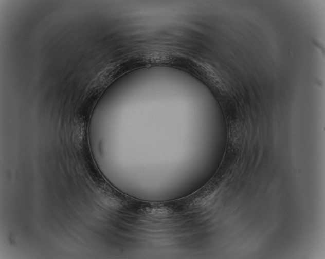 X0000091890645200709191218