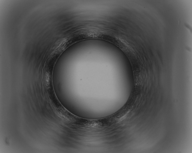 X0000091890646200709191218