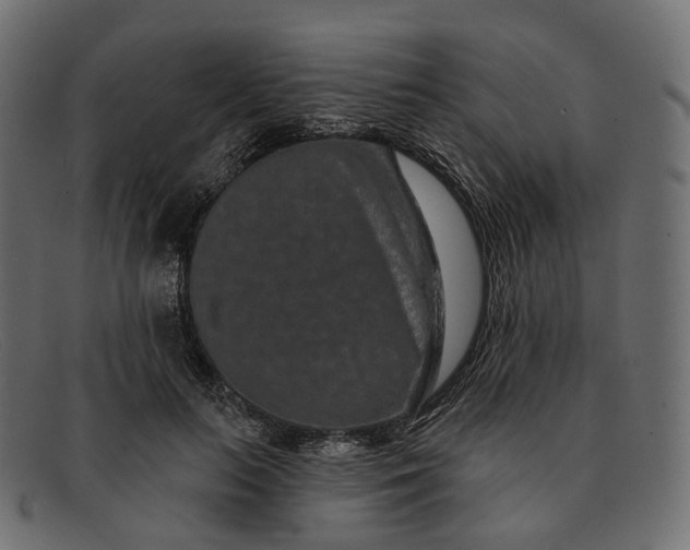 X0000091890647200709191218