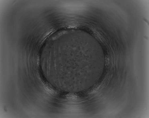 X0000091890648200709191218