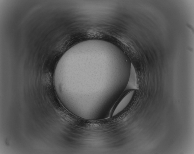 X0000091890649200709191218