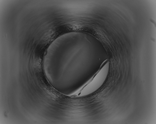X0000091890650200709191218