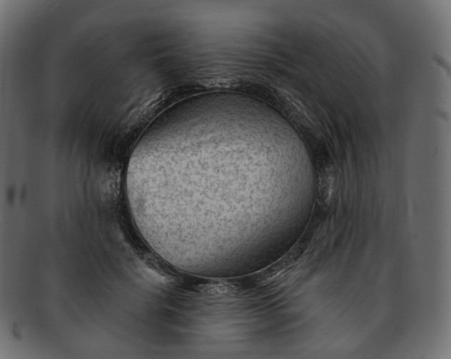 X0000091890652200709191218
