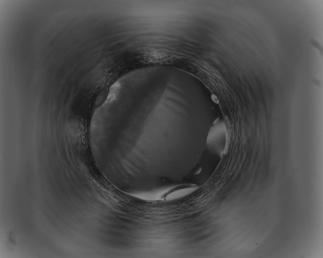 X0000091890653200709191218