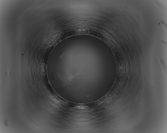 X0000091890654200709191218