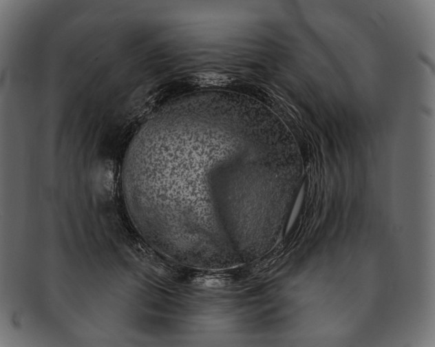 X0000091890655200709191218
