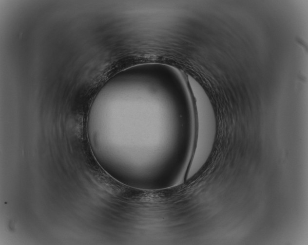X0000091890656200709191218