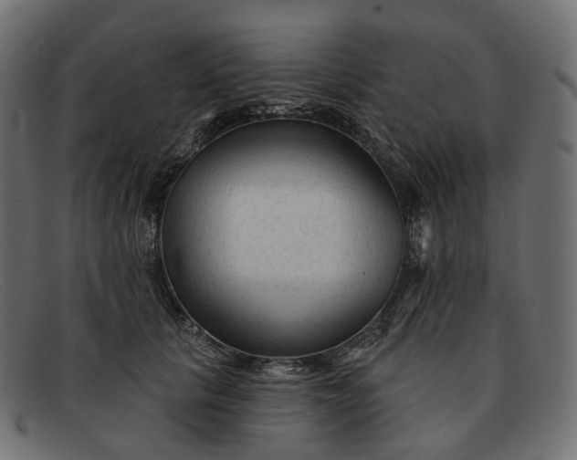 X0000091890657200709191218