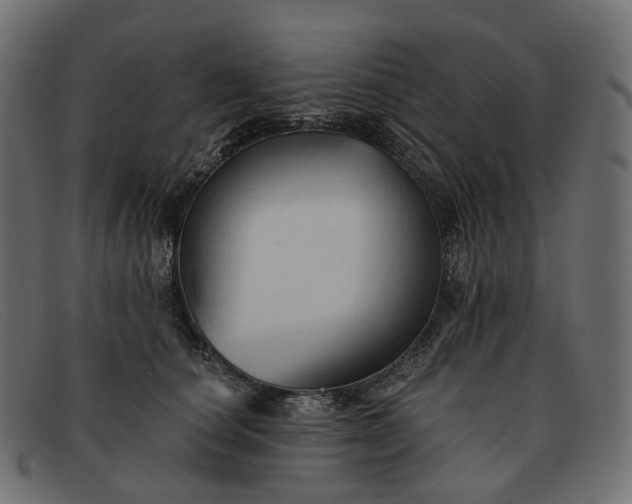 X0000091890660200709191218