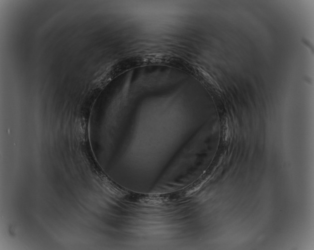 X0000091890661200709191218